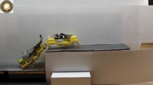 Роботы VelociRoACH научились совместно преодолевать препятствия