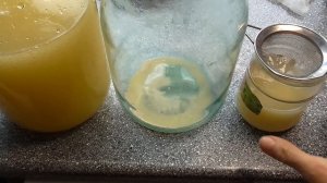 Лечебный квас на сыворотке с чистотела. Рецепт кваса по Болотову