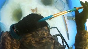 ЩУКА НА МАХАЛКУ. РЫБАЛКА НА АМУРЕ 2022