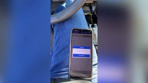 Honda Insight Hybrid пол года никто не мог завести