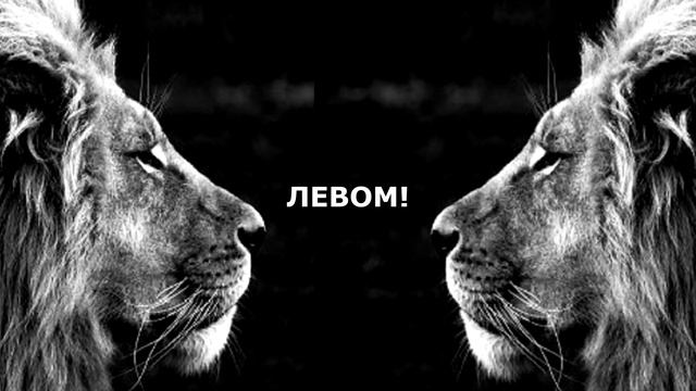 Правда Життя | Україномовний Контент!