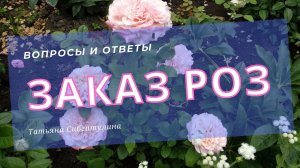 Заказ роз. Семь вопросов самому себе.