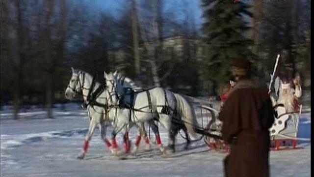Вот такой Дед Мороз! (2002)