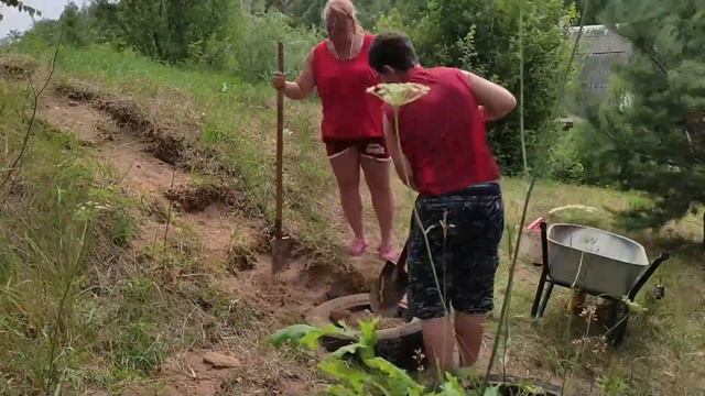 Площадка для дрессировки. Начало. смотреть онлайн
