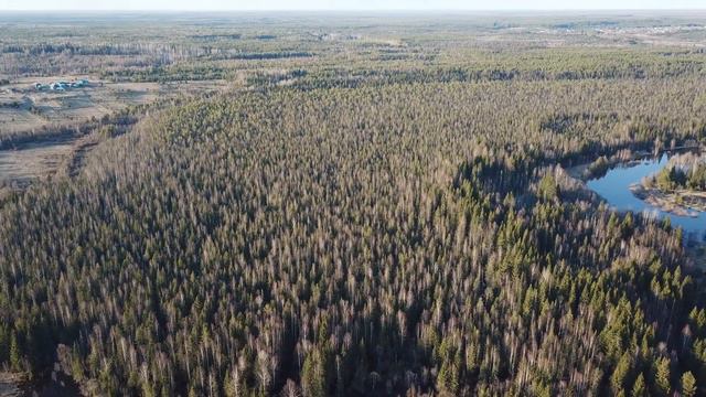 Река Вохма в разливе смотреть онлайн