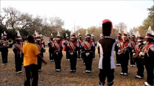 Helen Cox Marching Band 2017 Proteus Parade