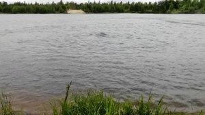 Радиоуправляемый катер Traxxas Spartan