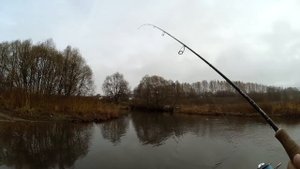 Рыбалка (прогулка) по р. Веневке поздней осенью 2017г