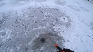 СУДАК и ЩУКА на ВИБЫ (ратлины) - УДАЧНО ОТКРЫЛСЯ НА РЕКЕ! Зимняя рыбалка! Ловля хищника со льда!