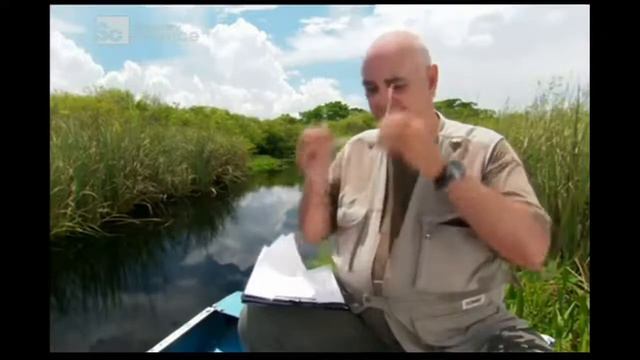 BaLan17 смотреть онлайн