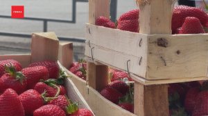 Ягоду начали продавать на улицах Красноярска
