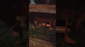 Фреза Мотоблока МТЗ и АГРО С