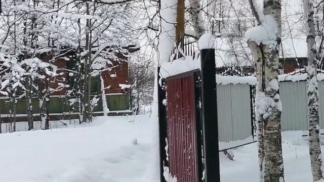 Школы 49 и 87 [Печора. Респ.Коми] #печорасветланаяковлева #печоракоми #путешествия смотреть онлайн