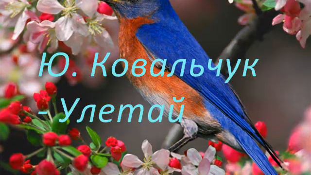 Ю Ковальчук Улетай смотреть онлайн