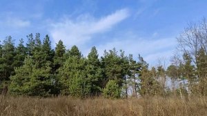 5 декабря народный праздник Прокопьев день. Запреты дня. Именинники дня. Народные приметы и традици