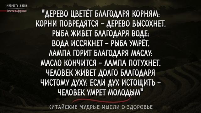 Жаль я этого не Знал! Мудрые советы от Китайских мудрецов про Здоровье, Цитаты со смыслом