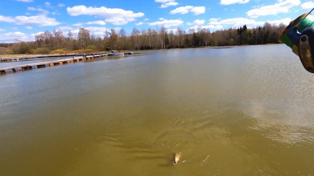 Закрытие весеннего сезона по щуке смотреть онлайн