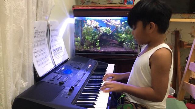 Deuel | Silver Birch Tree | Hoffman Academy смотреть онлайн