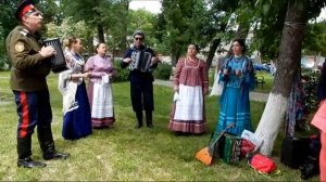 Чубчик кучерявый