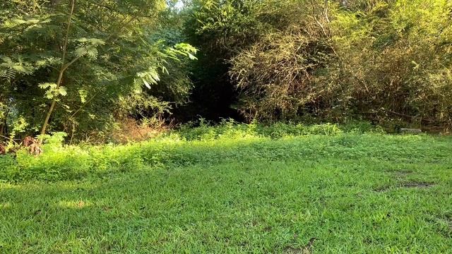 Hitachi C-10RJ Jobsite Tablesaw Review смотреть онлайн