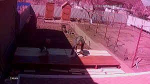 Ейск  строим вольер сами.   ЧАСТЬ 3.