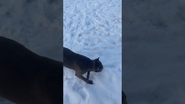 Знакомься с ханной ?