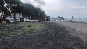 Кемпинг Black Sea Camping (Грузия)