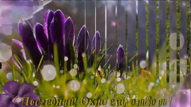 Вот и лето пришло! Музыка композитор Александр Балакин #короткоевидео