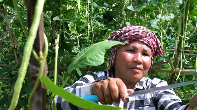 Vanna@Film Showreel смотреть онлайн