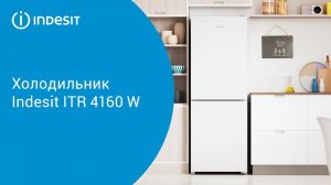 Холодильник Indesit ITR 4160 W - обзор модели