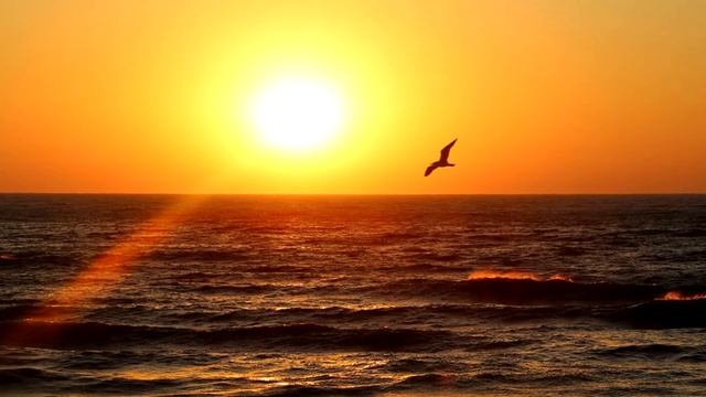 "ГДЕ ЖИВЁТ СЧАСТЬЕ?" стихи Анастасия Одесса смотреть онлайн