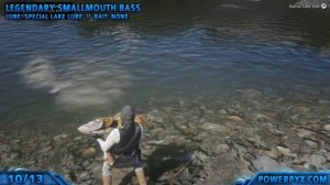 Red Dead Redemption 2 All Legendary Fish Locations (A Fisher of Fish)