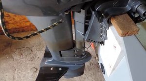 RiverBoats 380rib ( борьба с дельфином и выводы) ))