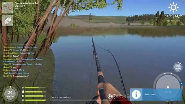 Фарм сазана на реке Сура  Русская рыбалка 4  Ловля фидером