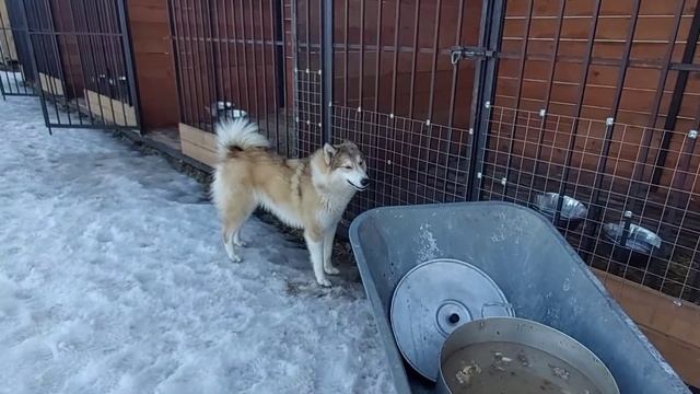 Как же хочется кушать смотреть онлайн