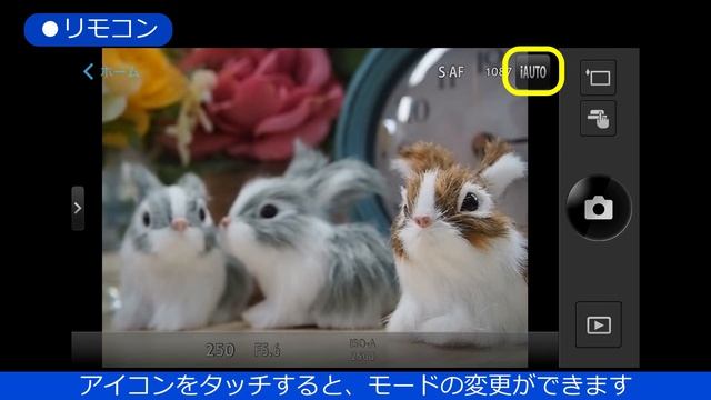 OM-D E-M10 Mark III 第7話 家族で一緒に撮ろう スマホでリモート撮影【おうちで学ぼうオンライン写真講座 OLYMPUS COLLEGE ONLINE - Shortlesson- смотреть онлайн