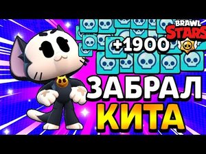 Забрал Кита в бравл старс открытие стар дропов!
