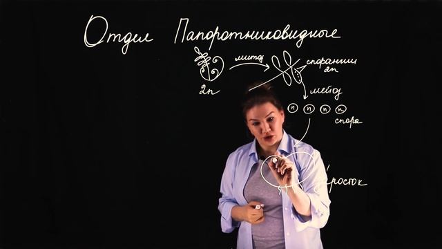 Жизненный цикл Папоротников смотреть онлайн