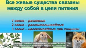 Видеоурок №3  "Цепь питания"