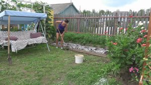 Сею дайкон редьку редис и салат. 20 июля 2024 года.