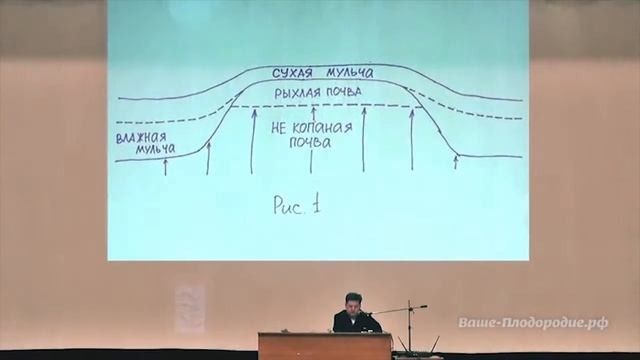 Урожай картофеля 25 мешков с сотки. смотреть онлайн