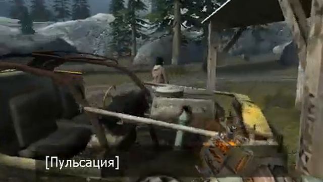 заброшенные жилой дом и амбар на проселочной дороге в лесной местности смотреть онлайн