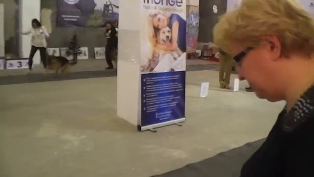 Немцы. Сравнение на ЛПП. г. Пермь 3 дек. 2016 смотреть онлайн