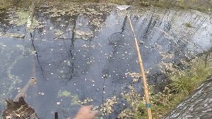 Как поймать малька осенью, видео rybachil.ru.mpg