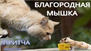 Благородная Мышка. Очень мудрая притча с глубоким смыслом. #притчи #жизнь #любовь #мудрыеслова #топ