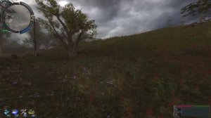 STALKER . Золотой обоз 2 - 25: Тайная тропа , Поиск неуловимых , Полная зачистка