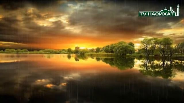 Очень трогательная история ТВ НАСИХАТ