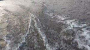 Mercury F5M , Meluga 360