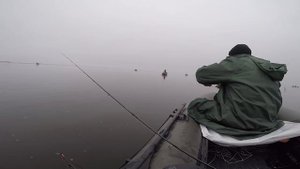 Ратлины, Ловля на ратлины, Ратлины на судака, Ловля судака на ратлины