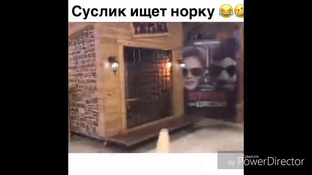 Безумные игры | Инста челенжы | Пол это лава | Притворись мертвым и многоe другое!! смотреть онлайн